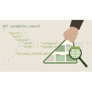 Elasticsearch Essential Training 2025-4