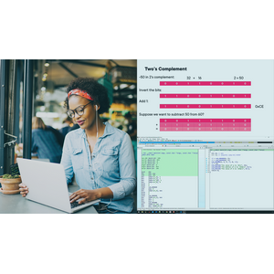 Pluralsight — Malware Analysis: Assembly Basics 2024-7