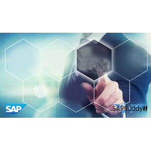 Udemy — SAP Basis Administration 2023-11