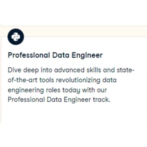Professional Data Engineer in Python 2024-8