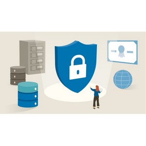 LinkedIn — CompTIA Security+ (SY0-701) Cert Prep 2024-7