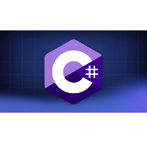 C# Ultimate Masterclass: From Absolute Beginner to Expert 2024-2/2025-3