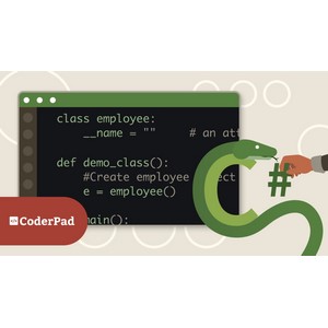 Transition from C# to Python 2025-2