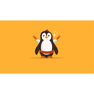 Udemy — Linux Mastery: Master the Linux Command Line in 11.5 Hours 2023-4