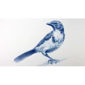 Udemy — The Art & Science of Drawing / BASIC SKILLS 2020-3
