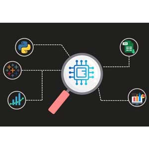 Data Science Mastery 2025: Excel, Python & Tableau 2025-1