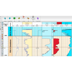 Petrophysical Analysis In Techlog 2022-5