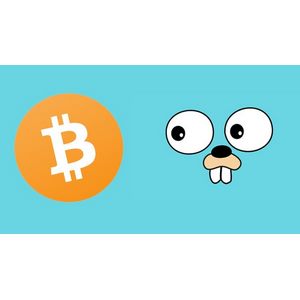 Udemy — Golang: How to build bitcoin blockchain with go programing 2024-7