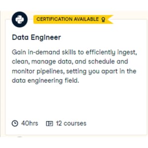 Data Engineer in Python 2025-3