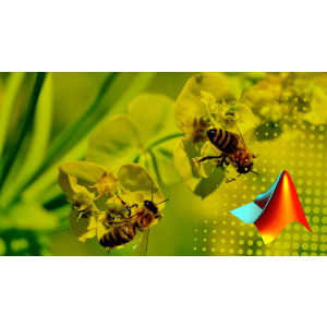 Artificial bee colony Optimization Algorithm (Using MATLAB) 2021-1
