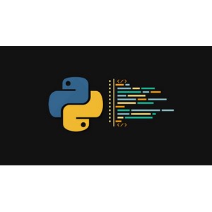 Python Essentials: Learn Python Basics with Coding Exercises 2024-4