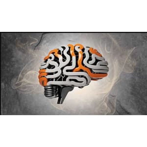 Udemy — Diploma Training Course in Modern Applied Psychology (DiMAP) 2024-11
