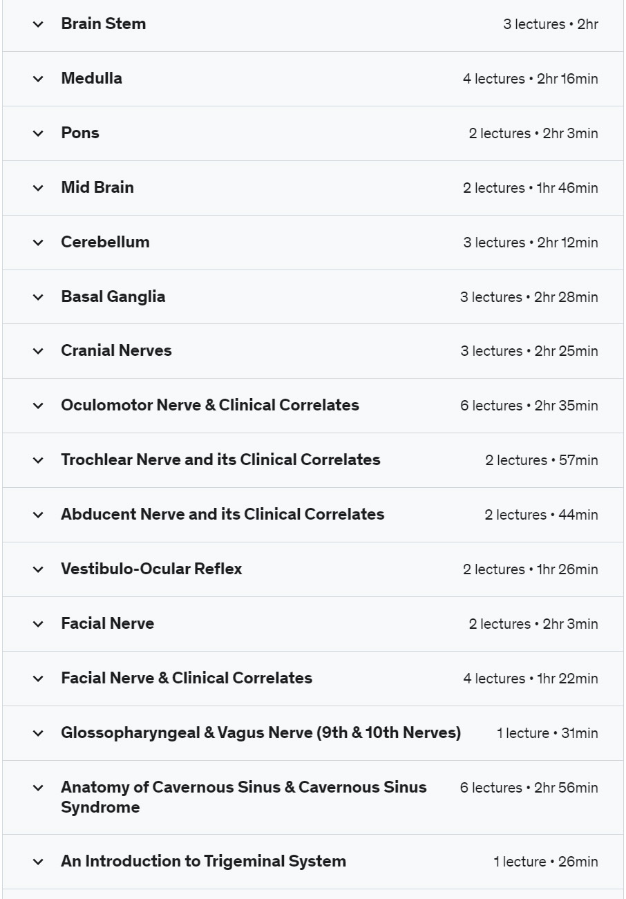 Course topics · Master Neuroscience and Neuroanatomy. 2019-7