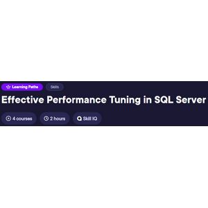 Pluralsight — Effective Performance Tuning in SQL Server 2024-7