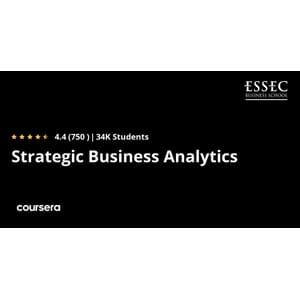 Coursera — Strategic Business Analytics Specialization 2024-5