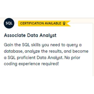 Associate Data Analyst in SQL 2024-8