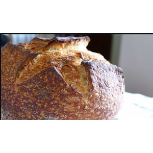 Udemy — #1 Sourdough Bread Baking 101 2021-11