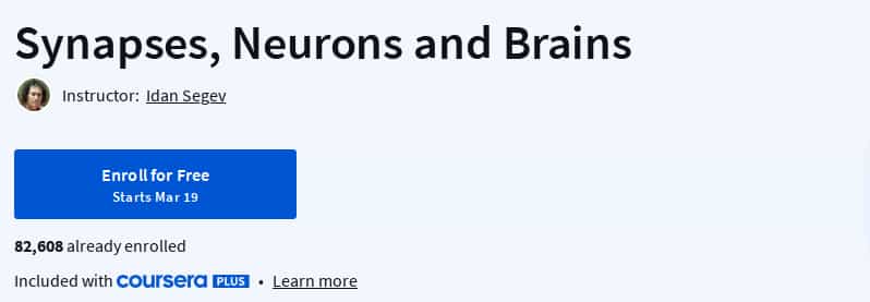 Pictures · Synapses, Neurons and Brains 2025-3
