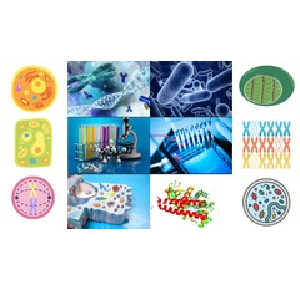Udemy — Cell biology 2023-2