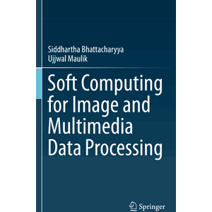 Springer – Soft Computing for Image and Multimedia Data Processing 2013