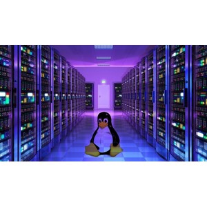 المهندسين Linux أوتوماتيك باستخدام Shell Scripts 2025-3