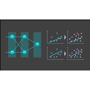 Data Science for Everyone 2024-9