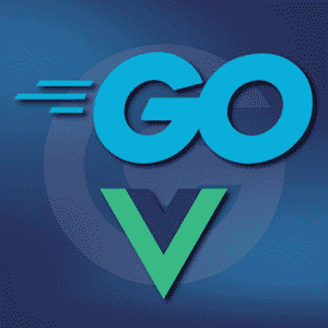 Udemy — Working with Vue 3 and Go (Golang) 2024-6