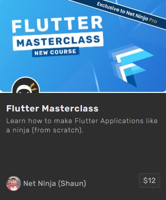Pictures · Net Ninja — Flutter Masterclass 2024-8