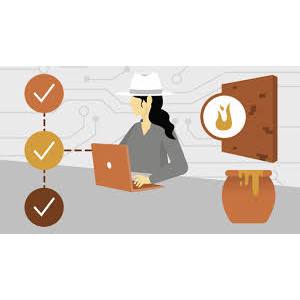 Ethical Hacking: Evading IDS, Firewalls, and Honeypots 2023-5