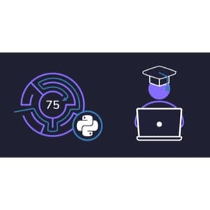 Grokking Blind 75 in Python: Mastery through Coding Patterns 2024-9