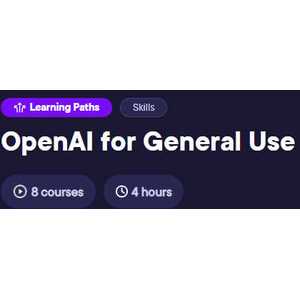 OpenAI for General Use 2028-8