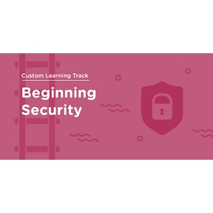 Beginning Security 2024-7