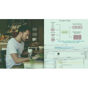 Streamlining API Management Using Google Apigee 2024-7