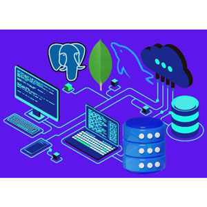 MySQL, PostgreSQL and MongoDB Database Design Masterclass 2024-11