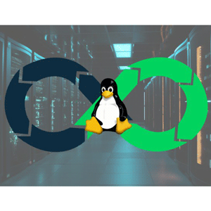 DevOps 현실 세계에서 2025-6
