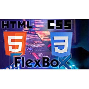 Udemy — LEARN HTML, CSS and FLEXBOX FROM SCRATCH 2024-10