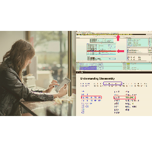 IDA Pro Concepts and Basic Functionality 2023-3