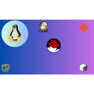 Udemy — Customised Linux Administrator Course to Get Dream IT Job 2025-2