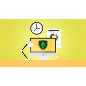 Udemy — Learn MongoDB : Leading NoSQL Database from scratch 2018-11