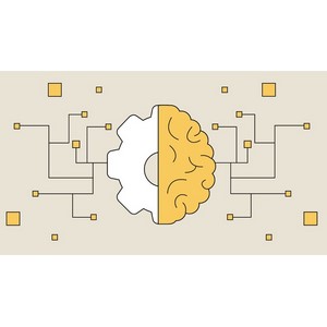 Become Machine Learning Engineer 2024-9