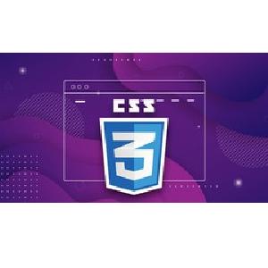 Udemy — Advanced CSS: Functions, Selector ,Grid, Flex, Sass And More 2023-8
