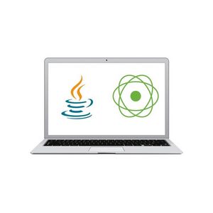 Reactive Programming in Java: Spring WebFlux & Testing 2024-8