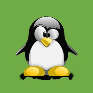 Linux for DevOps & Cloud Engineers: From Beginner to Pro 2025-6