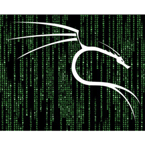 Professional Ethical Hacker with Kali Linux v2025 2025-5