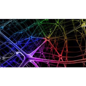 Deep Learning: Convolutional Neural Networks in Python 2025-11