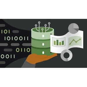 LinkedIn — Advanced SQL Project: Design and Manage a Database 2024-8