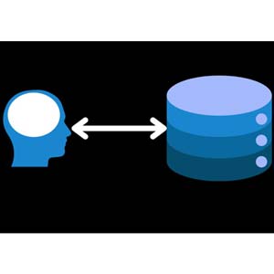 SQL Masterclass: From Zero to Hero with SQL Server (2024) 2024-1