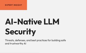 PacktPub — 파키스탄 - AI-Native LLM 보안 : 안전하고 신뢰할 수있는 건설을위한 위협, 방어 및 최상의 관행 AI 2025