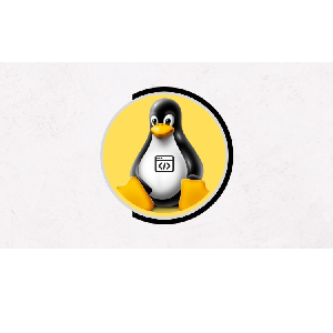 Udemy — Linux Shell Scripting Beginner Course [2024] 2023-8