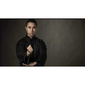 Udemy — Wing Chun Kung Fu Masters Course Dragon Sifu – Martial Arts 2024-1